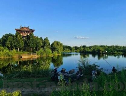 游泳世界杯中国-游泳世界杯中国，展现实力与荣耀的舞台